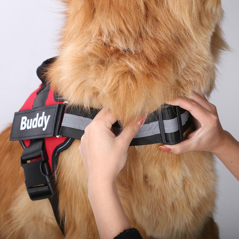 VERIDALE™  - CUSTOM FIT NO-PULL DOG HARNESS