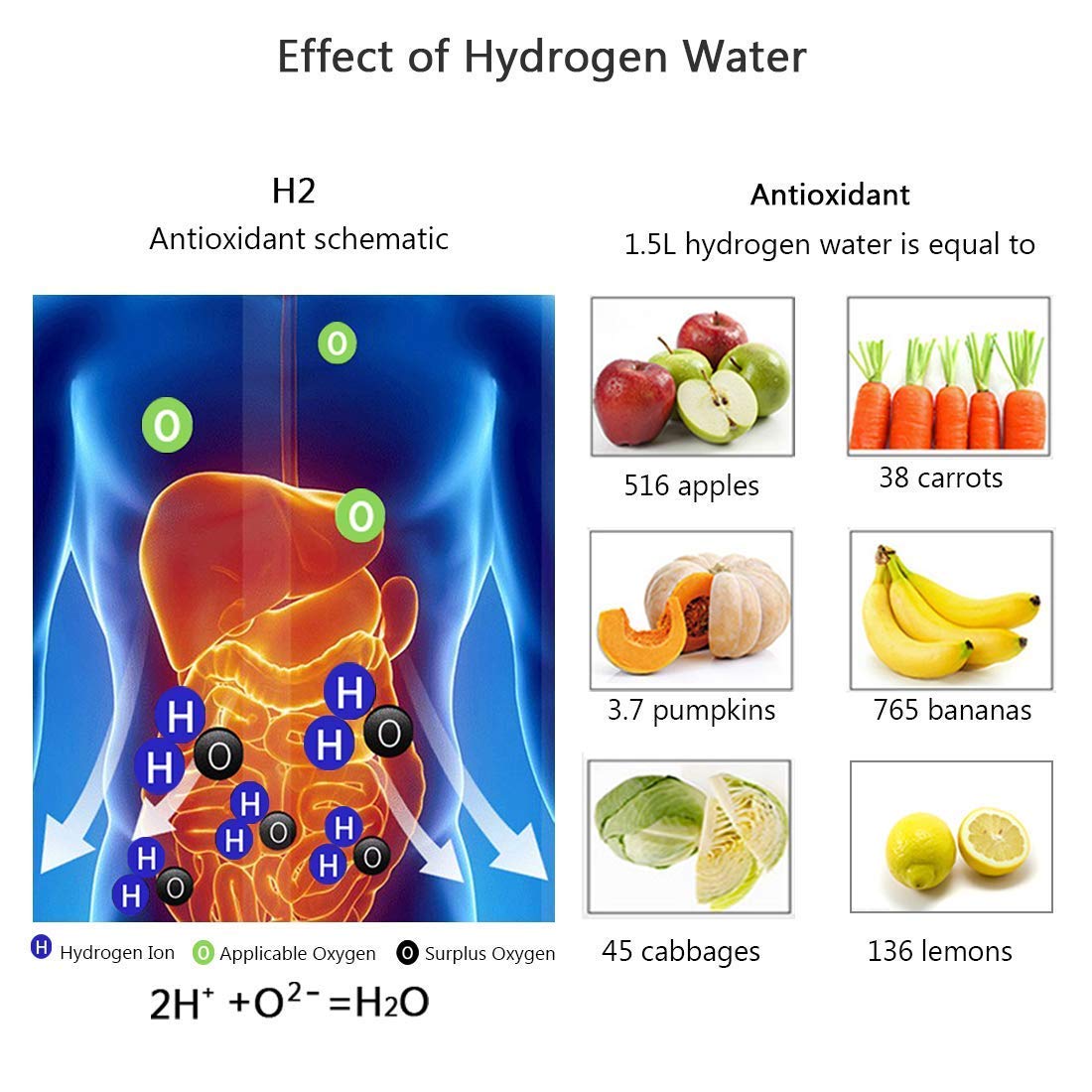 VERIDALE™  - HYDROGEN WATER BOTTLE